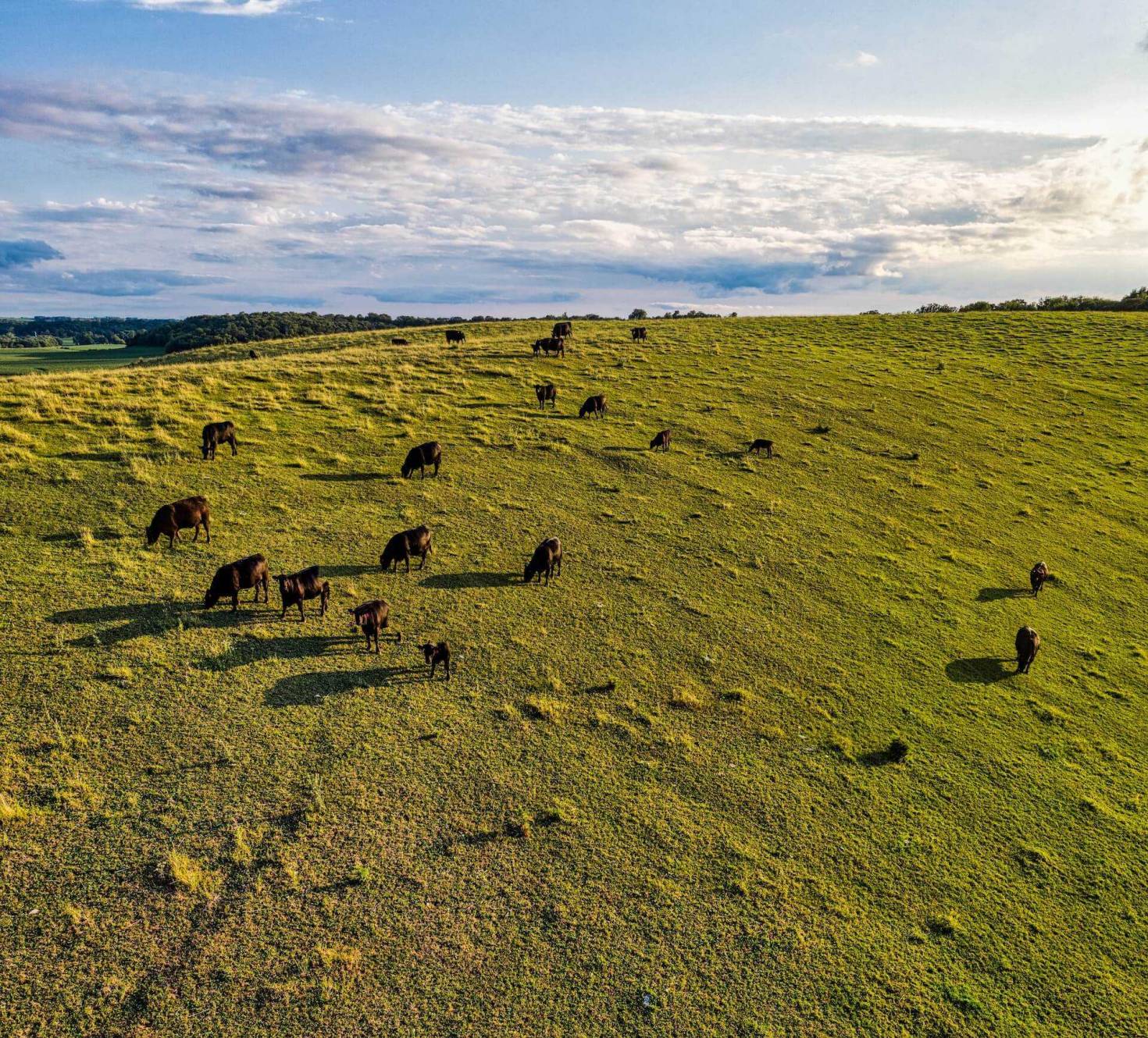 Farmland Investing