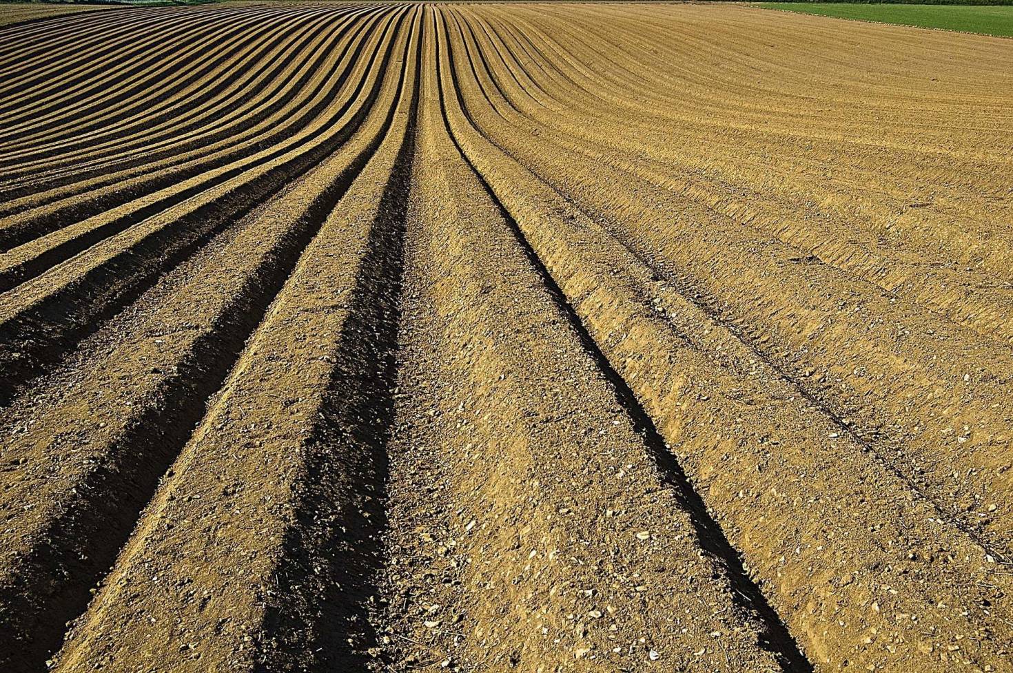 Furrowed Farm Land