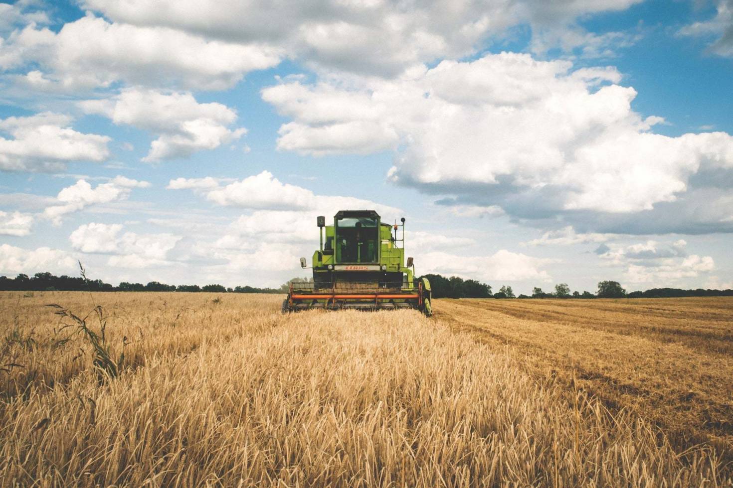 Harvesting Farmland