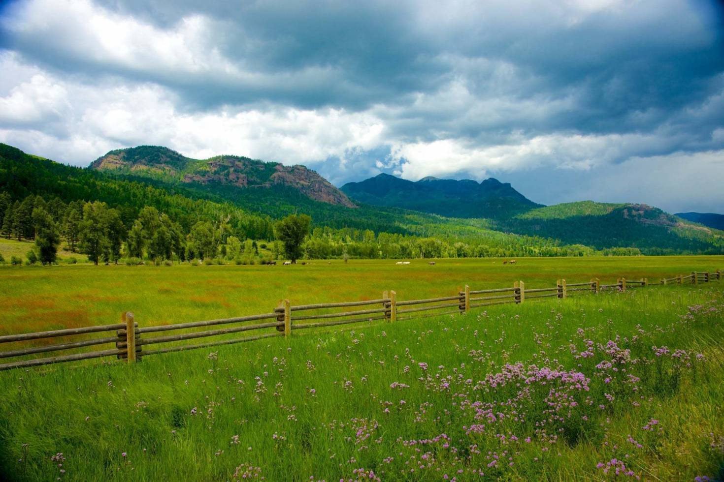 Large Ranch Owners