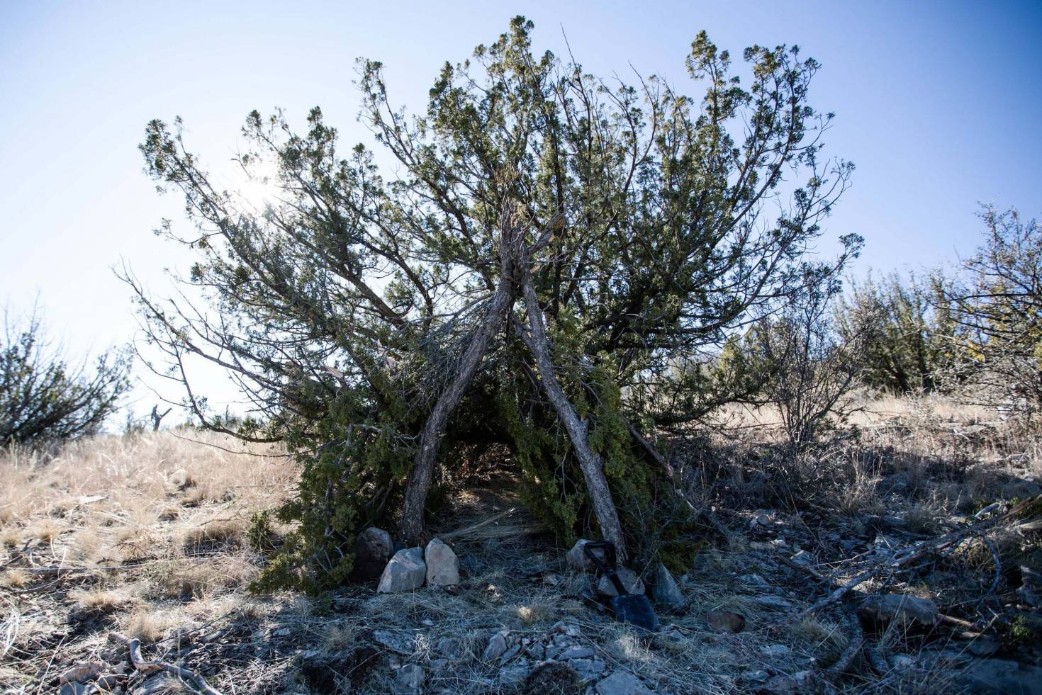 Lean-To Shelter