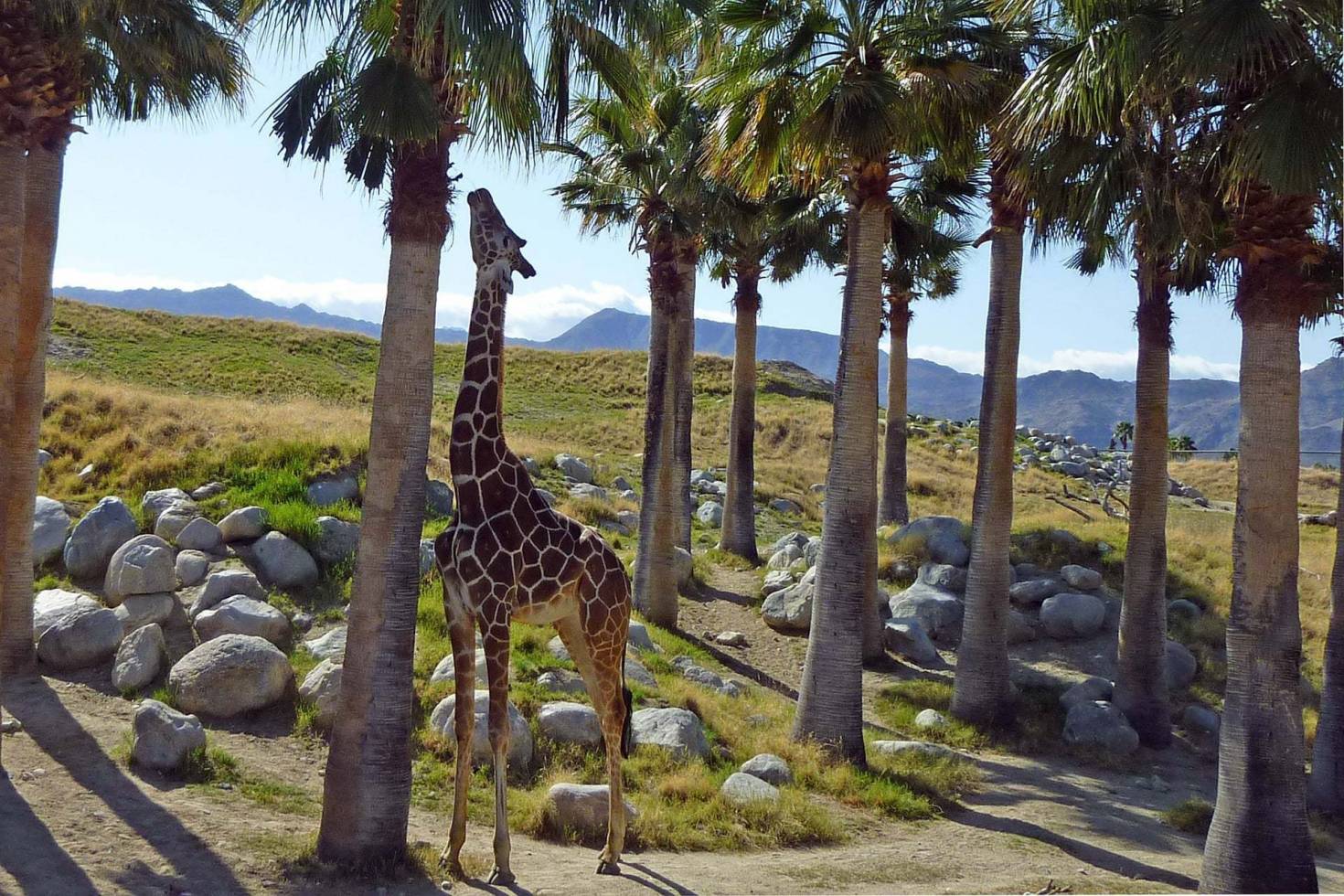 The Living Desert Zoo and Gardens State Park