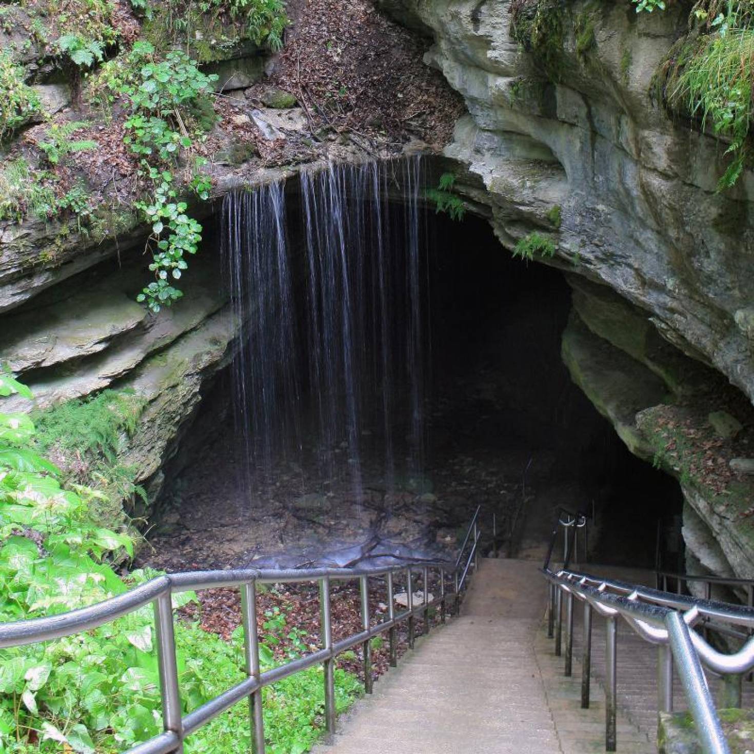 Mammoth Cave National Park