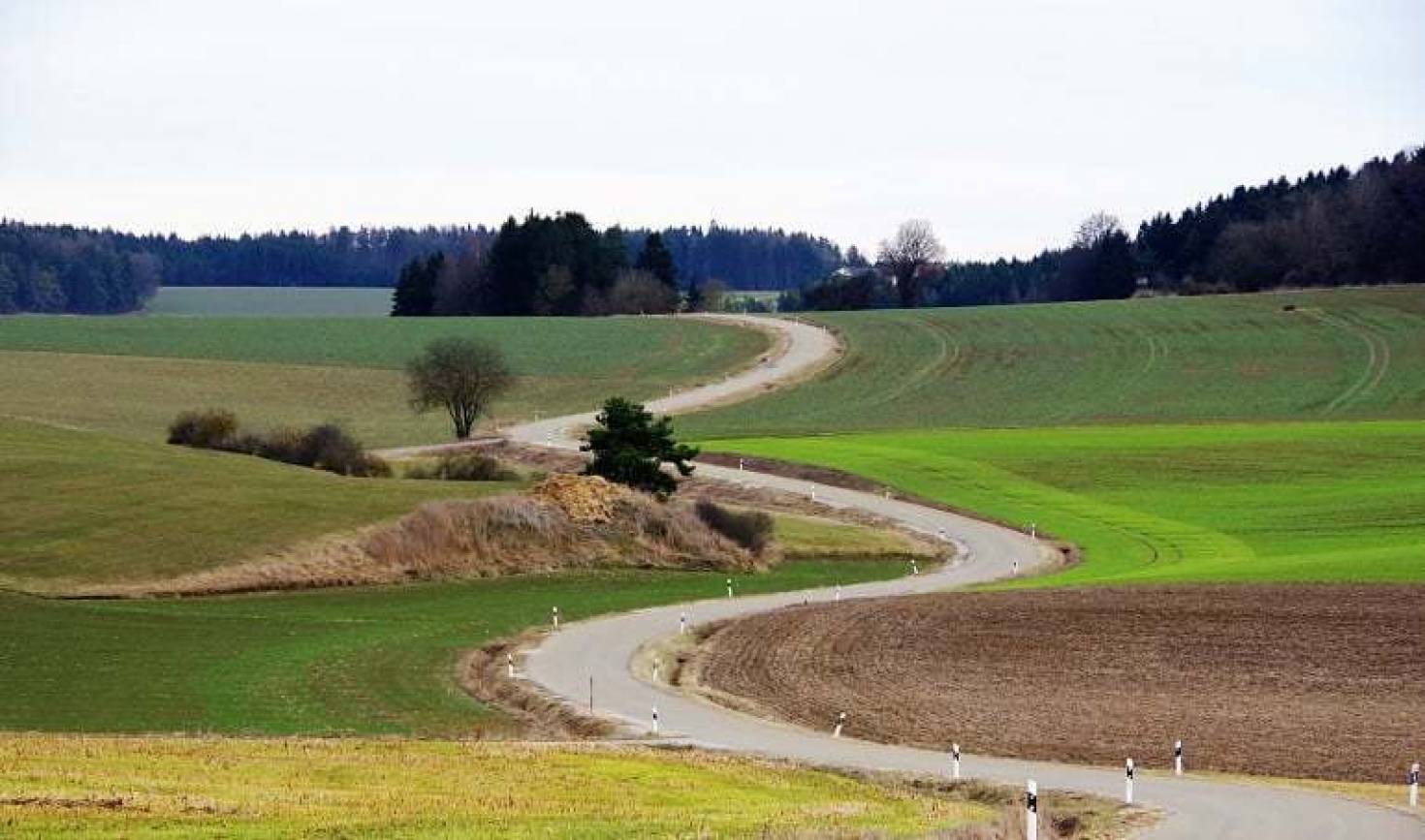 The Value Of Farmland