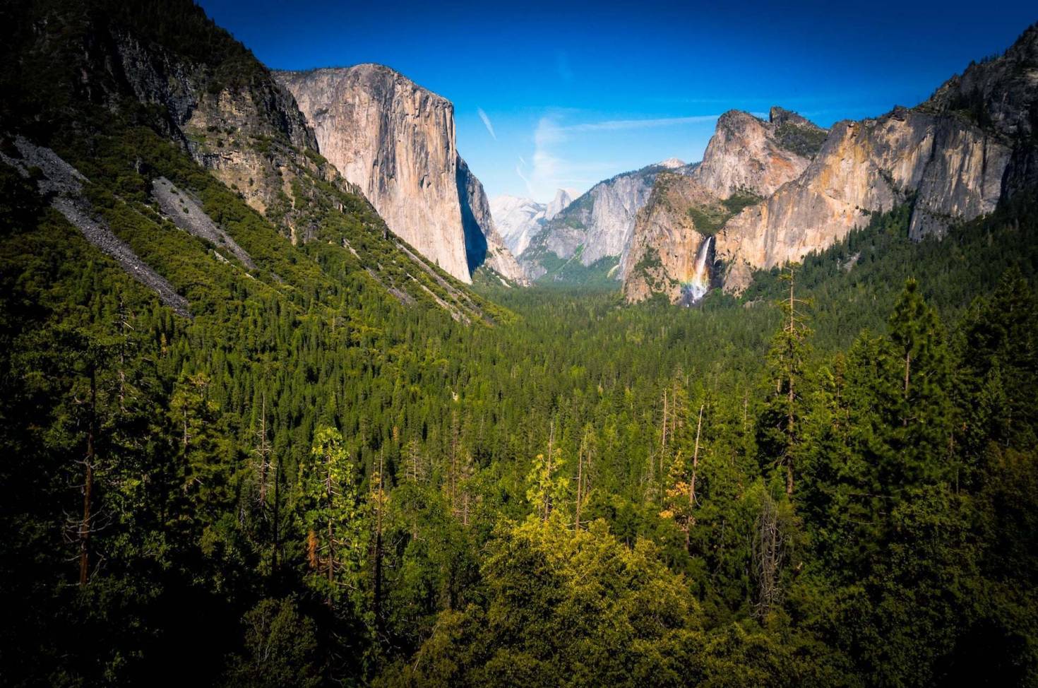 Yosemite National Park