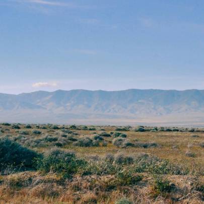 Undeveloped land