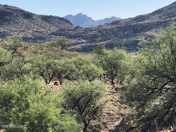 36.7 Acres of Land for Sale in Tubac, Arizona