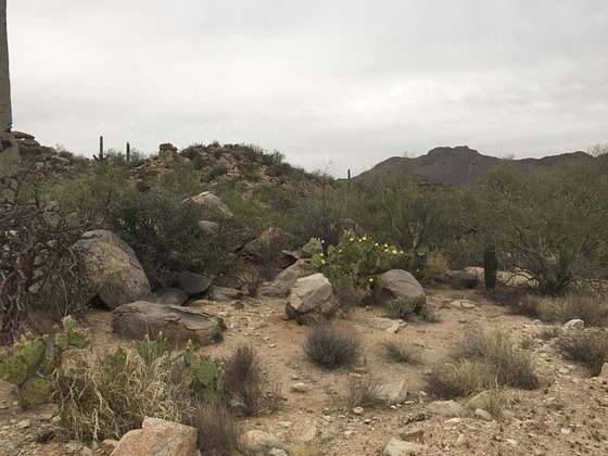 4.1 Acres of Residential Land for Sale in Tucson, Arizona