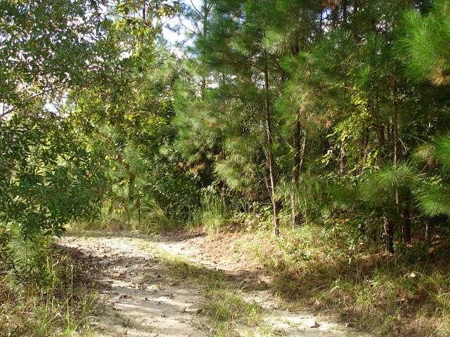 6 Acres of Land for Sale in Adams Run, South Carolina