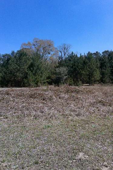 12 Acres of Land for Sale in Summerville, South Carolina