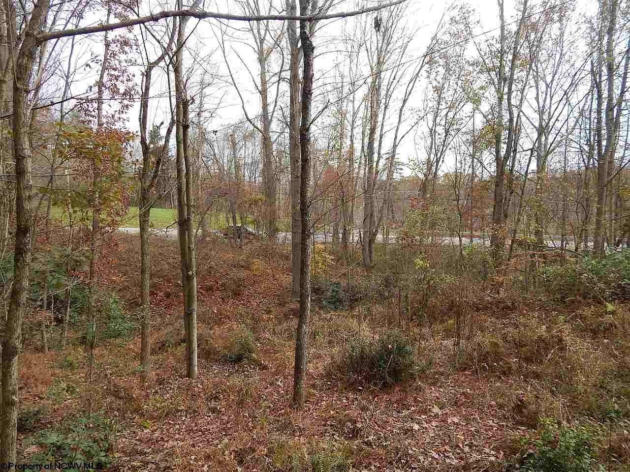 27.3 Acres of Recreational & Residential Land for Sale in Fairmont, West Virginia