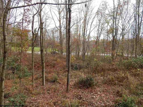 27.3 Acres of Recreational & Residential Land for Sale in Fairmont, West Virginia
