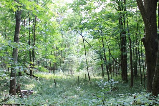 7.6 Acres of Residential Land for Sale in Harman, West Virginia