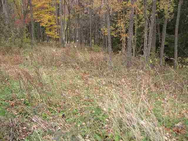 1.1 Acres of Residential Land for Sale in Morgantown, West Virginia