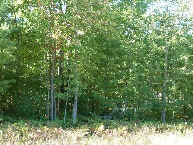 0.24 Acres of Residential Land for Sale in Alpena, Michigan