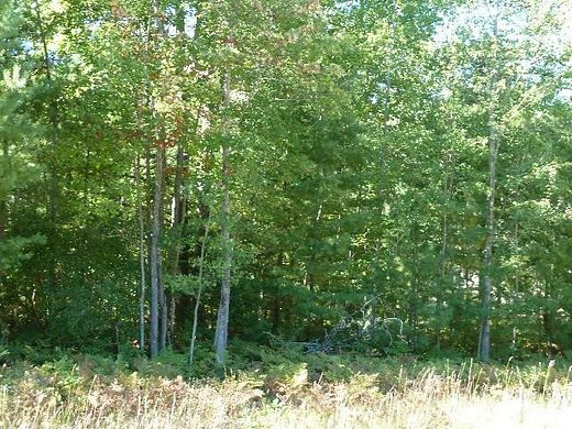 0.24 Acres of Residential Land for Sale in Alpena, Michigan