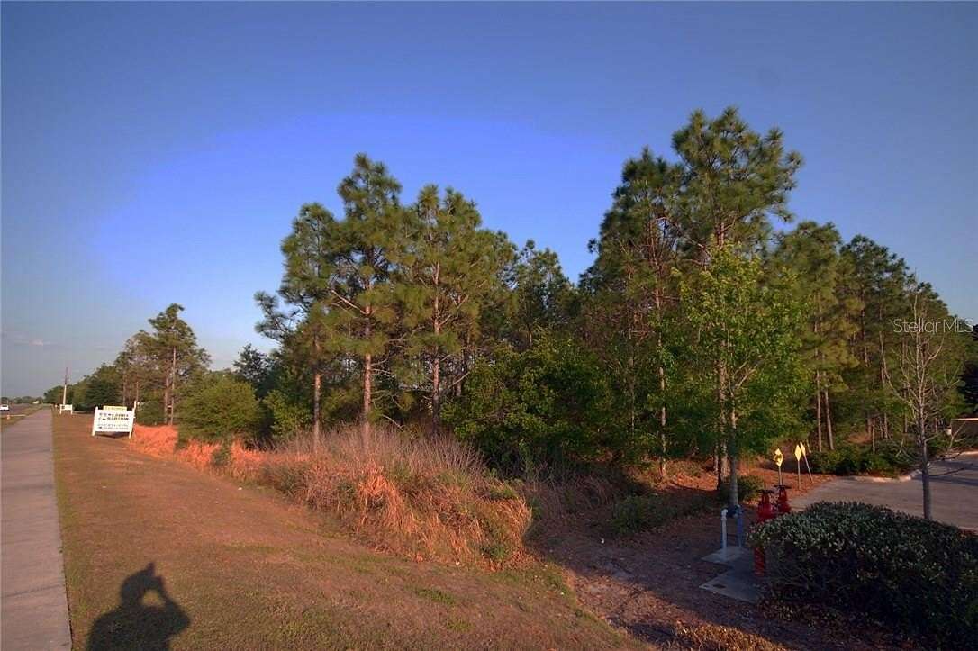 13.8 Acres of Land for Sale in Wesley Chapel, Florida