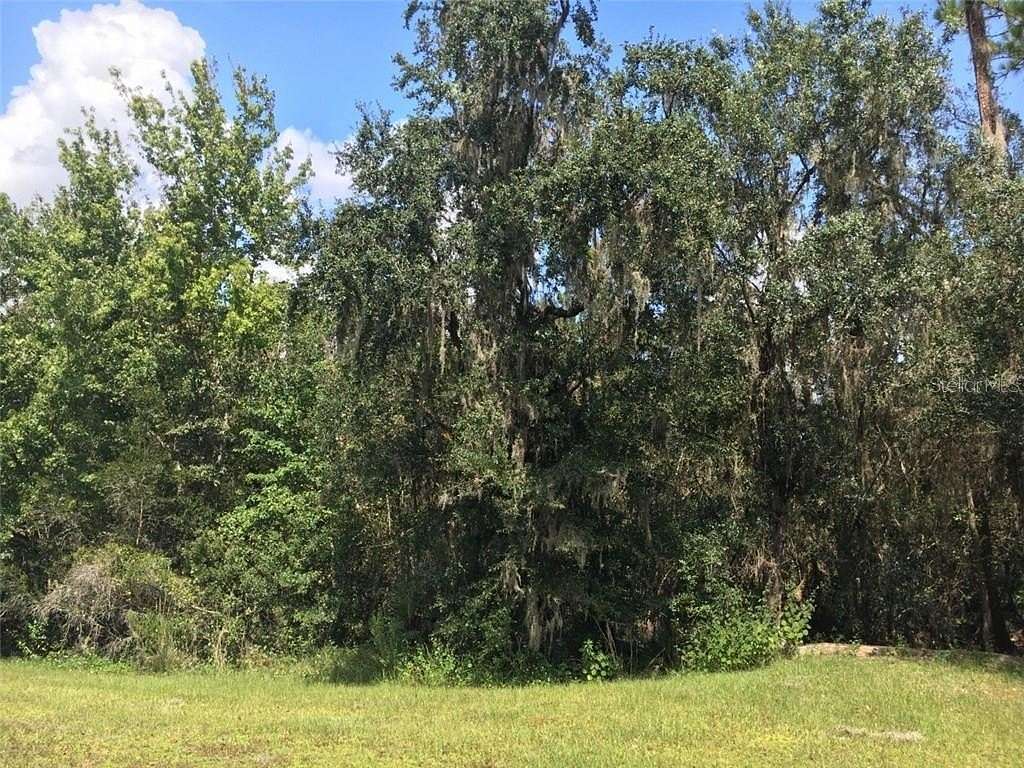 6.86 Acres of Land for Sale in Myakka City, Florida