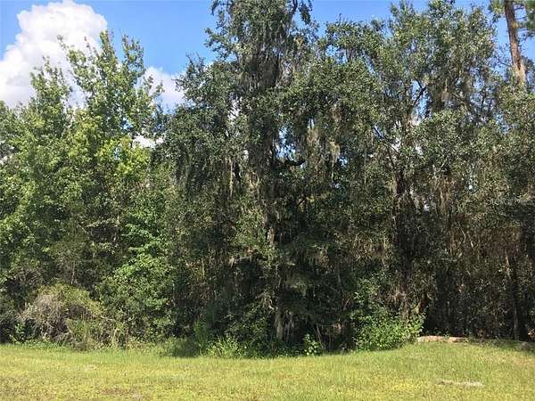 6.86 Acres of Land for Sale in Myakka City, Florida