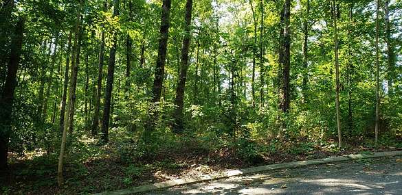 0.58 Acres of Residential Land for Sale in Dunlap, Tennessee