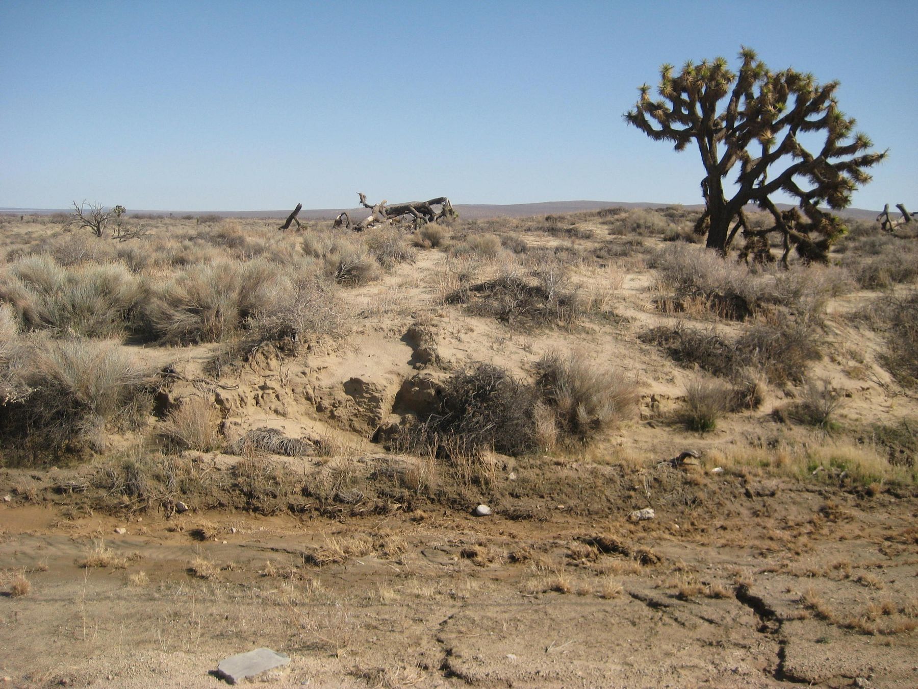 10.324 Acres of Land for Sale in Lancaster, California