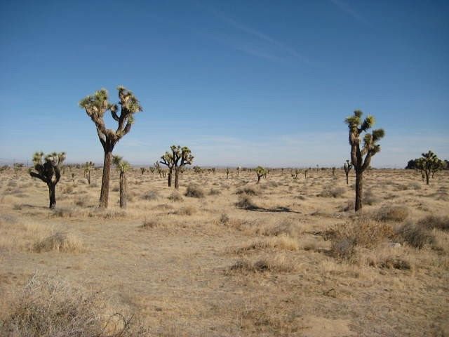 19.77 Acres of Land for Sale in Palmdale, California