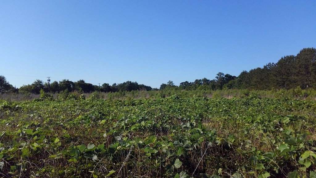 7.56 Acres of Commercial Land for Sale in Dothan, Alabama