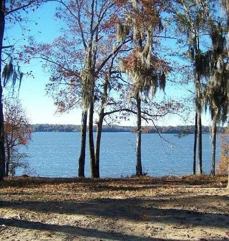 Residential Land for Sale in Georgetown, Georgia