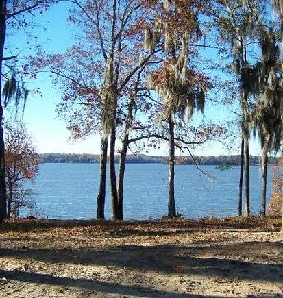 Residential Land for Sale in Georgetown, Georgia