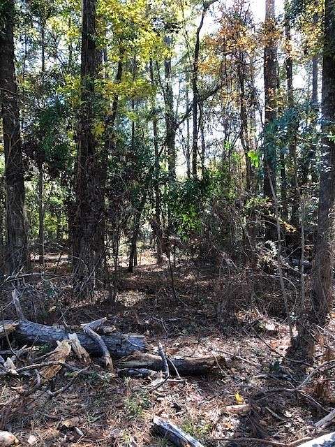 0.52 Acres of Residential Land for Sale in Eufaula, Alabama