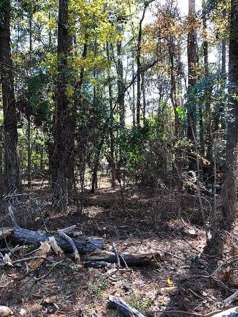 0.517 Acres of Residential Land for Sale in Eufaula, Alabama