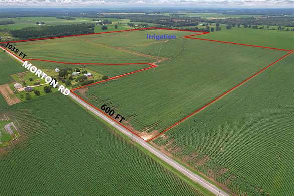 135 Acres of Recreational Land & Farm for Sale in Walnut Hill, Florida
