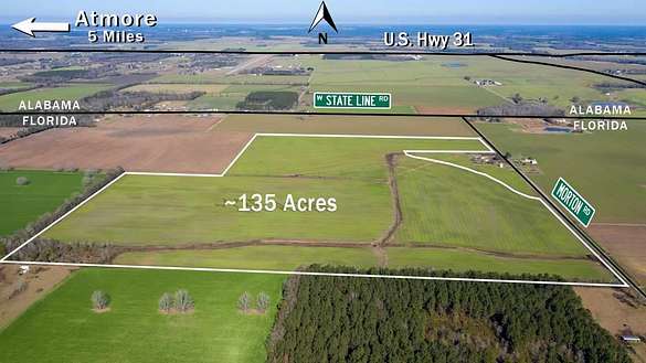135 Acres of Agricultural Land for Sale in Walnut Hill, Florida