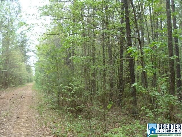 50 Acres of Land for Sale in Vance, Alabama