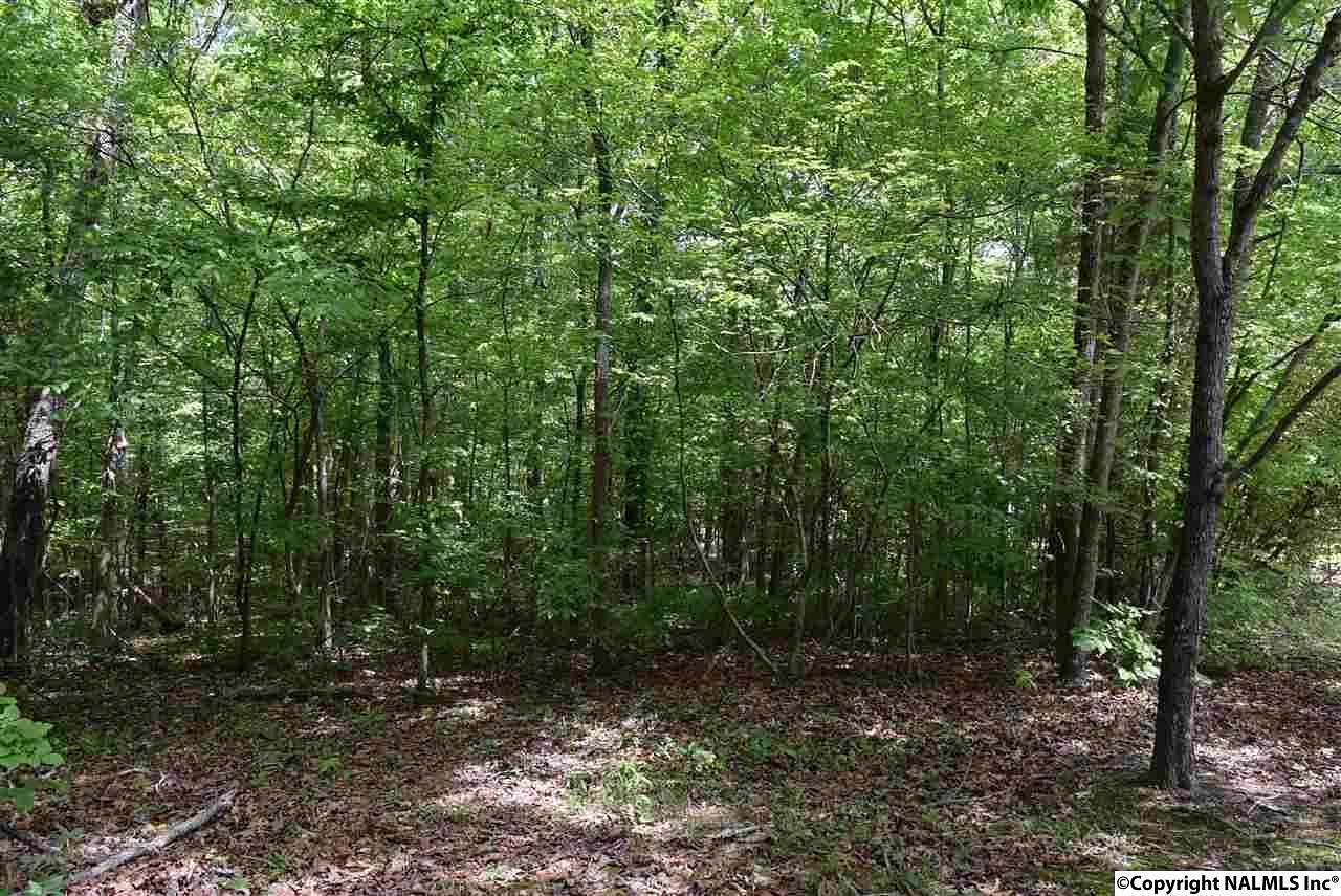 16.4 Acres of Land for Sale in Hokes Bluff, Alabama