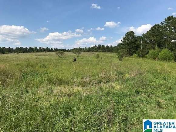 878 Acres of Land for Sale in Odenville, Alabama