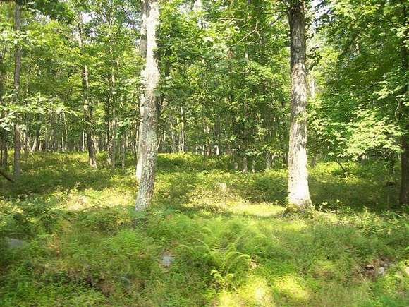 1.1 Acres of Land for Sale in Milford, Pennsylvania