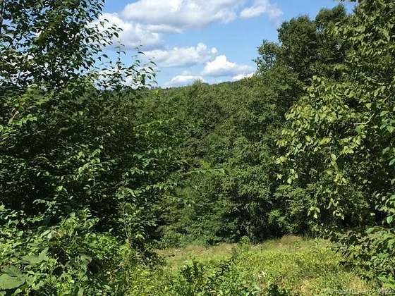 7.3 Acres of Land for Sale in Roxbury, Connecticut