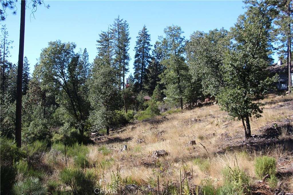 1 Acre of Residential Land for Sale in Cobb, California