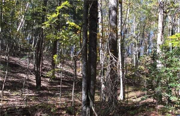 0.76 Acres of Residential Land for Sale in Ellijay, Georgia