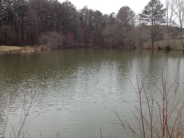 16.6 Acres of Improved Land for Sale in Milton, Georgia
