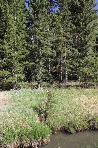 0.77 Acres of Residential Land for Sale in Red River, New Mexico