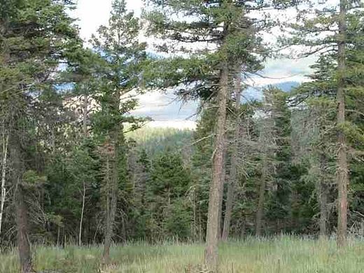 10 Acres of Land for Sale in Angel Fire, New Mexico