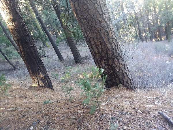 0.05 Acres of Land for Sale in Cedarpines Park, California