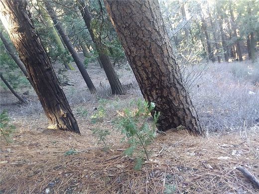 0.054 Acres of Residential Land for Sale in Cedarpines Park, California