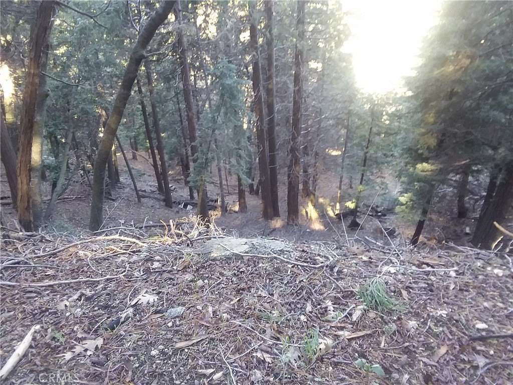 0.05 Acres of Land for Sale in Cedarpines Park, California