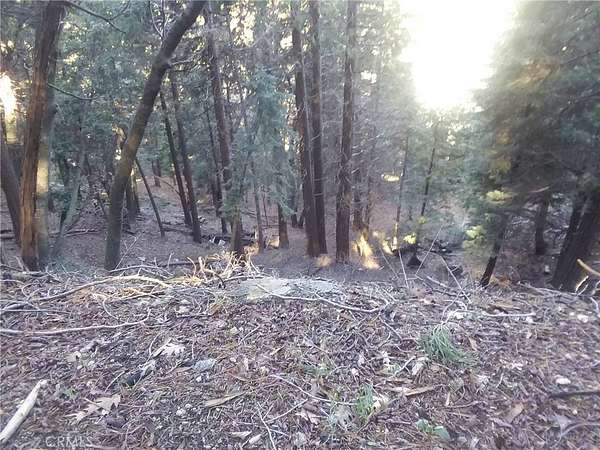 0.05 Acres of Land for Sale in Cedarpines Park, California