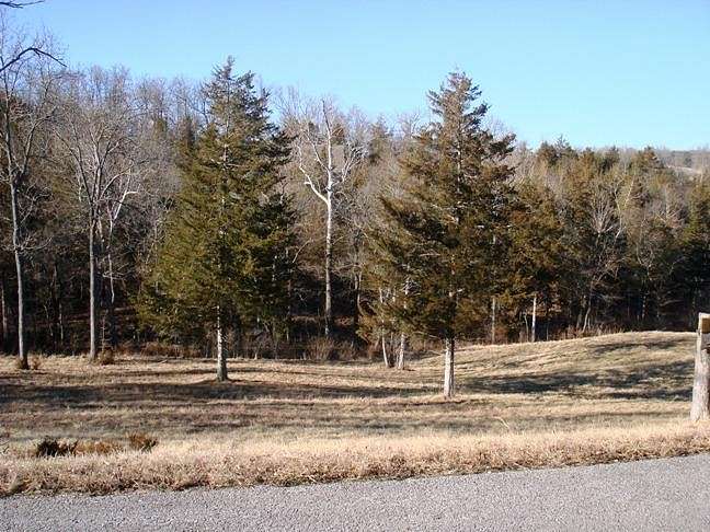 1.1 Acres of Residential Land for Sale in Saddlebrooke, Missouri