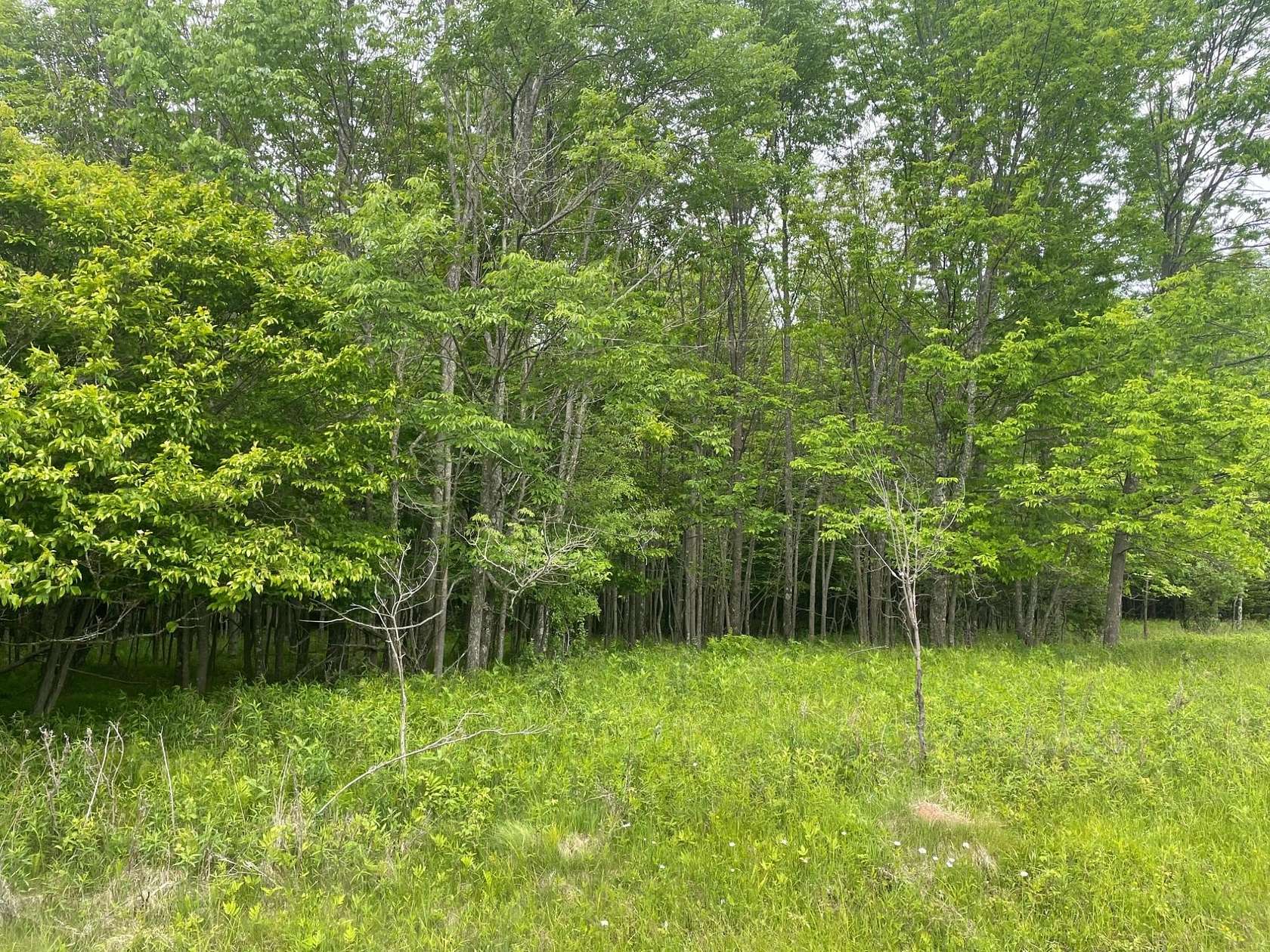 1.45 Acres of Residential Land for Sale in Park Falls, Wisconsin