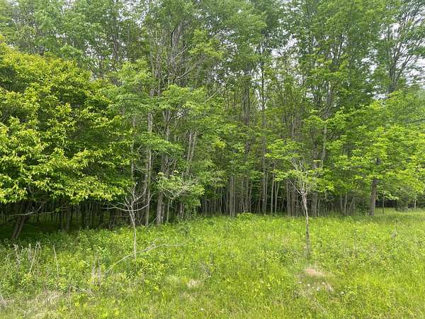 1.45 Acres of Residential Land for Sale in Park Falls, Wisconsin